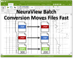 NeuraView Image Batch Conversion