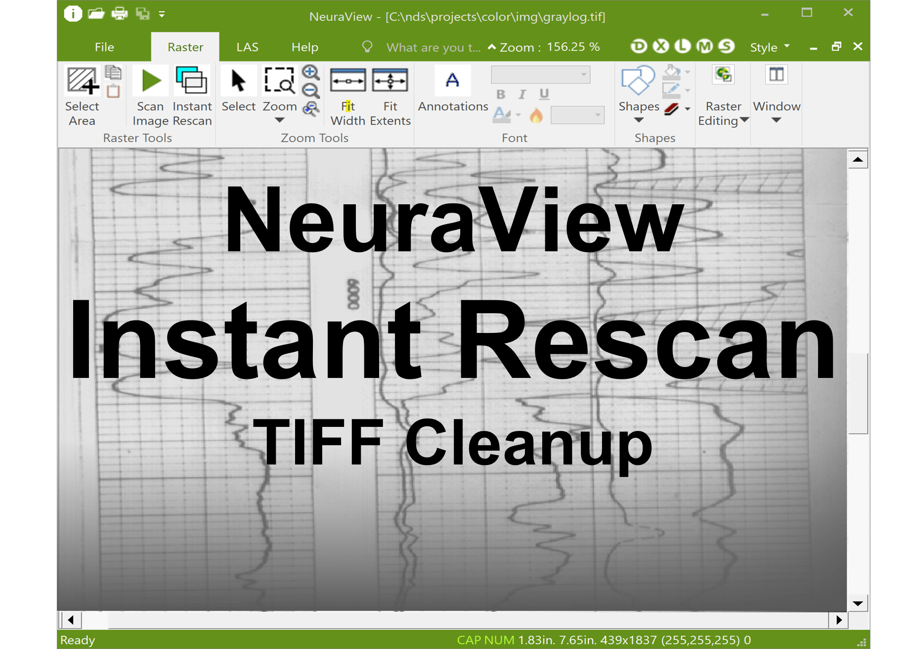 NeuraView Instant Rescan #1 TIFF Cleanup Tool