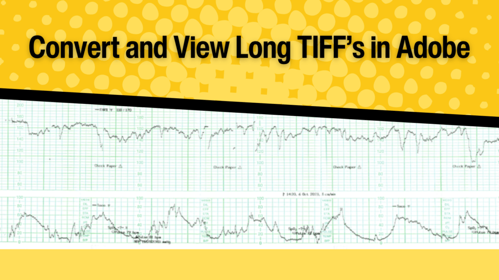 Convert and View Long TIFF’s in Adobe