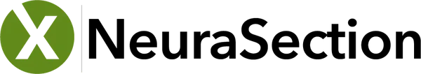 NeuraSection