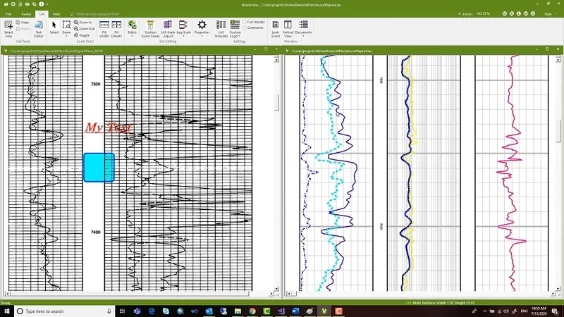 NeuraView Well Log Viewer